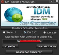 IDM 6.36 Crack Build 8 Patch Plus Serial Code Free 